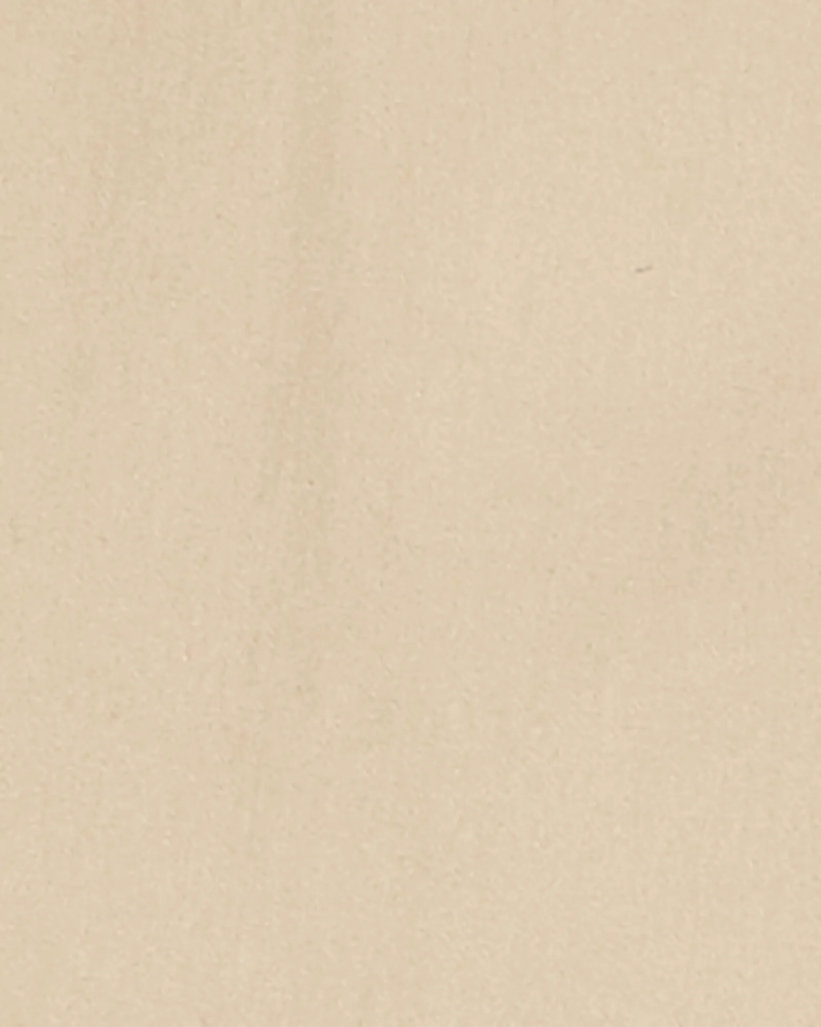 Chester Brushed Twill Pant | Tan